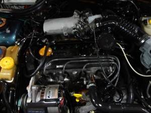 DSC09153